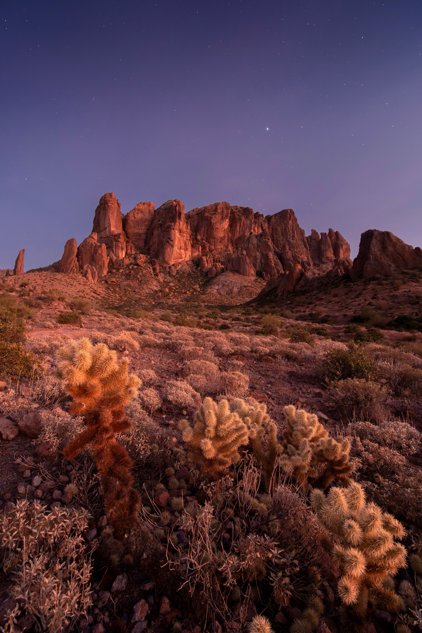 Glowing Chollas at the Superstitions